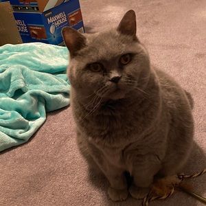 Meet your Posher, Angela